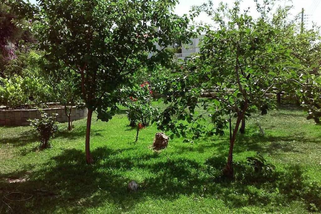 Sunny Garden Studio Atena Exterior foto